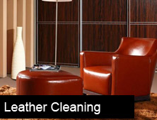 Leather Cleaning