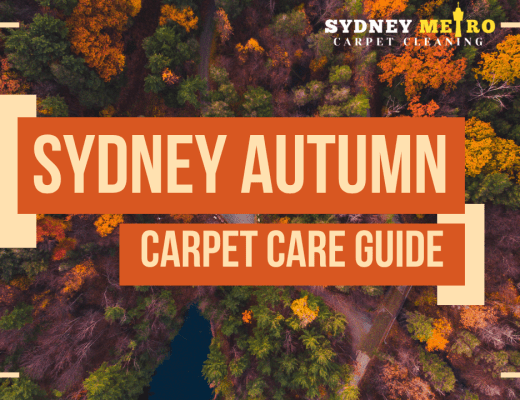 Sydney Autumn Carpet Care Guide | Protect Your Carpets This April