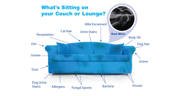 What sitting on your couch lounge