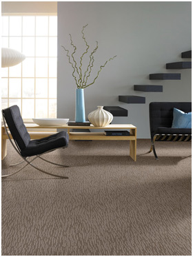 Carpet Cleaning