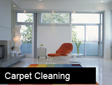 Carpet Cleaning