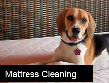 Mattress Cleaning